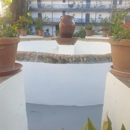 Rentalsevilla Un Oasis En El Centro De Seville