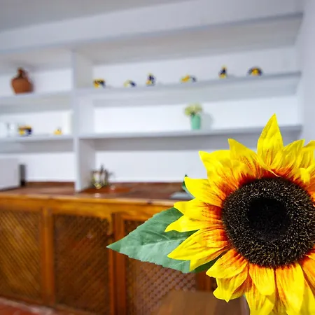 Rentalsevilla Un Oasis En El Centro De Apartment *