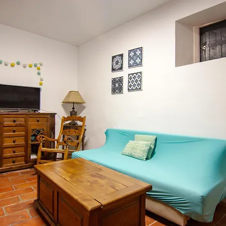Rentalsevilla Un Oasis En El Centro De *